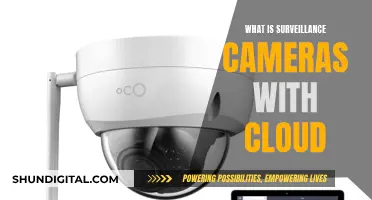 Surveillance Cameras: Cloud-Connected Security