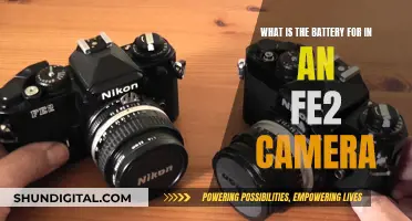 Understanding FE2 Camera's Battery Functionality