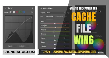 Understanding Camera Raw Cache Files in Windows