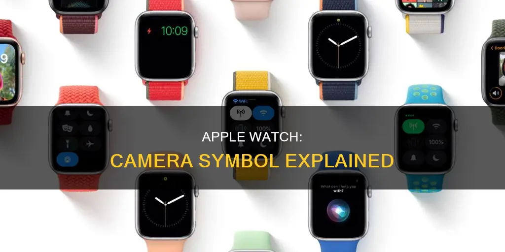 what is the camera symbol on apple watch