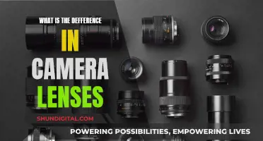 Understanding Camera Lenses: Capturing Unique Perspectives