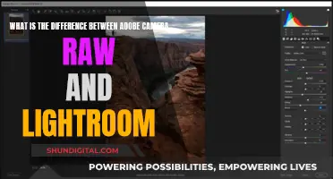 Adobe Camera Raw vs. Lightroom: Key Differences Explained