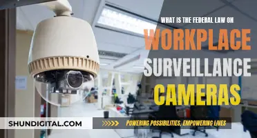 Workplace Surveillance Cameras: Federal Law and Your Rights