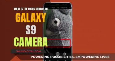 Focus Square Feature on the Galaxy S9 Camera Explained