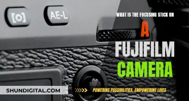 The Focusing Stick: Fujifilm's Unique Feature Explained