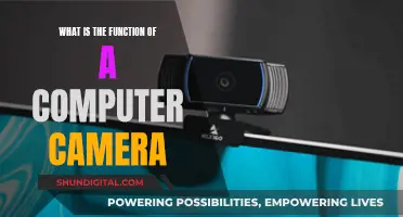 Computer Cameras: Capturing and Communicating Visual Data