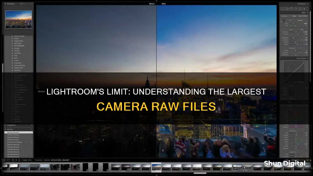 what is the largest camera raw that lightroom supports