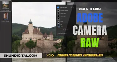 Latest Adobe Camera Raw: Unlocking Raw Power