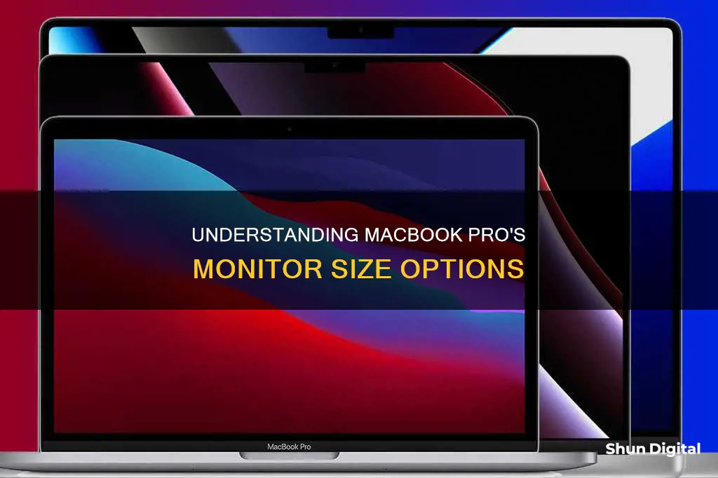 what is the monitor size of a macbook pro