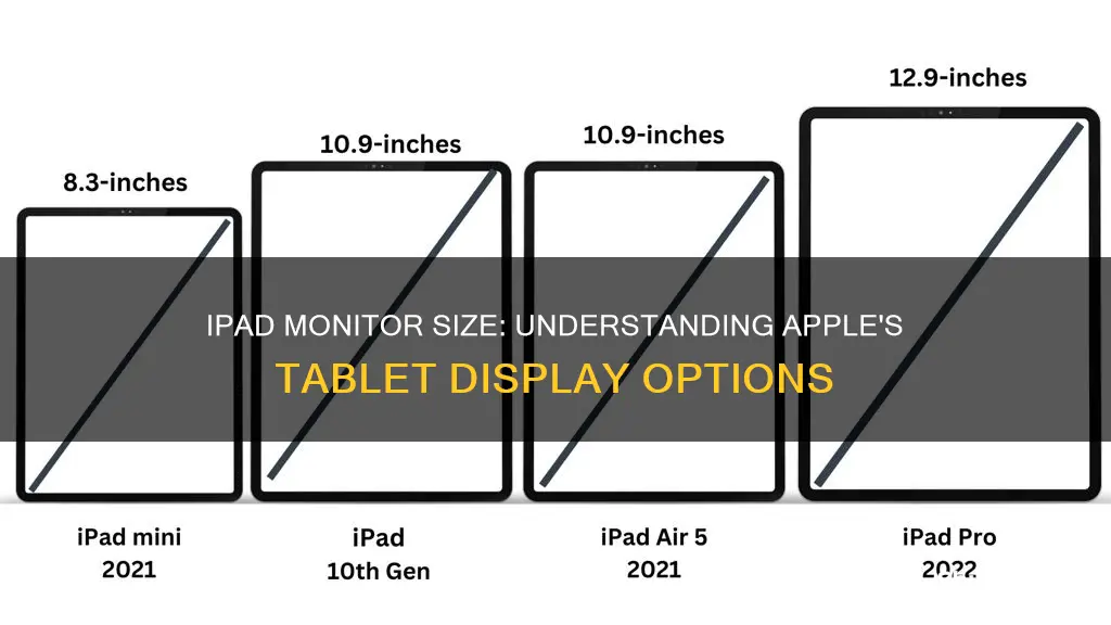 what is the monitor size of an ipad