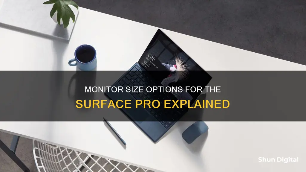 what is the monitor size on the surface pro