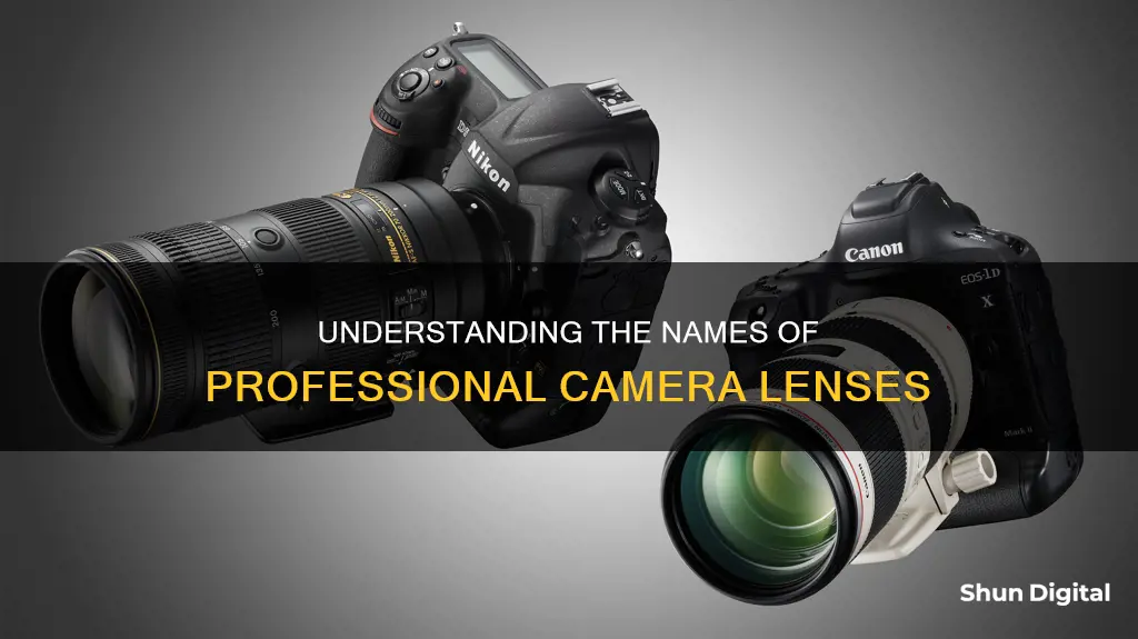 what is the name of the big professional camera lenses