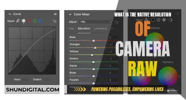 Understanding Camera Raw's Native Resolution