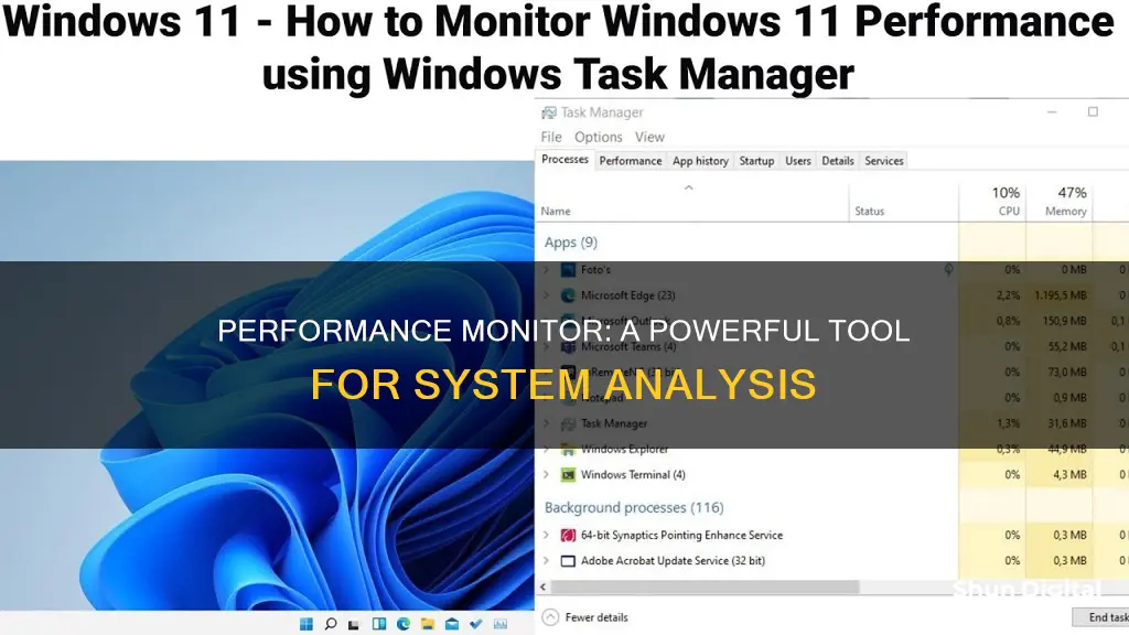 what is the performance monitor