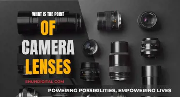 The Art of Camera Lenses: Capturing Unique Perspectives