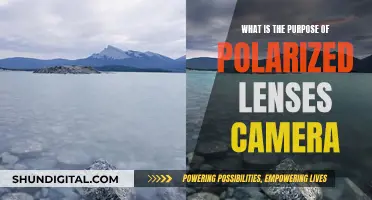 Polarized Lenses: Reducing Glare, Enhancing Camera Performance