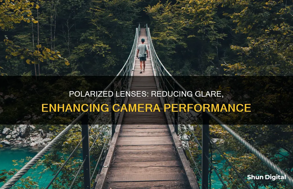 what is the purpose of polarized lenses camera