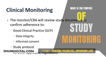 Study Monitoring: Ensuring Data Integrity and Participant Safety