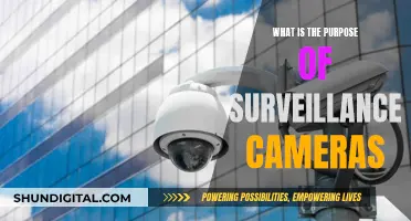 Surveillance Cameras: Security, Privacy, and You