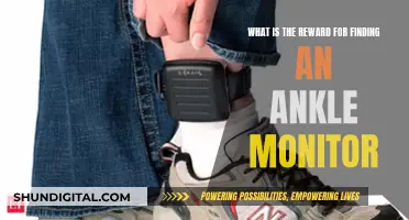 Ankle Monitor Recovery: Rewards and Return