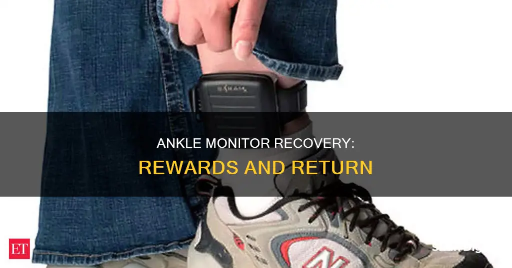 what is the reward for finding an ankle monitor