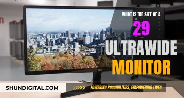 The Ultimate Viewing Experience: 29-Inch Ultrawide Monitors