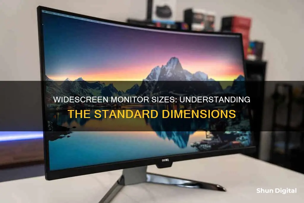 what is the size of a widescreen monitor