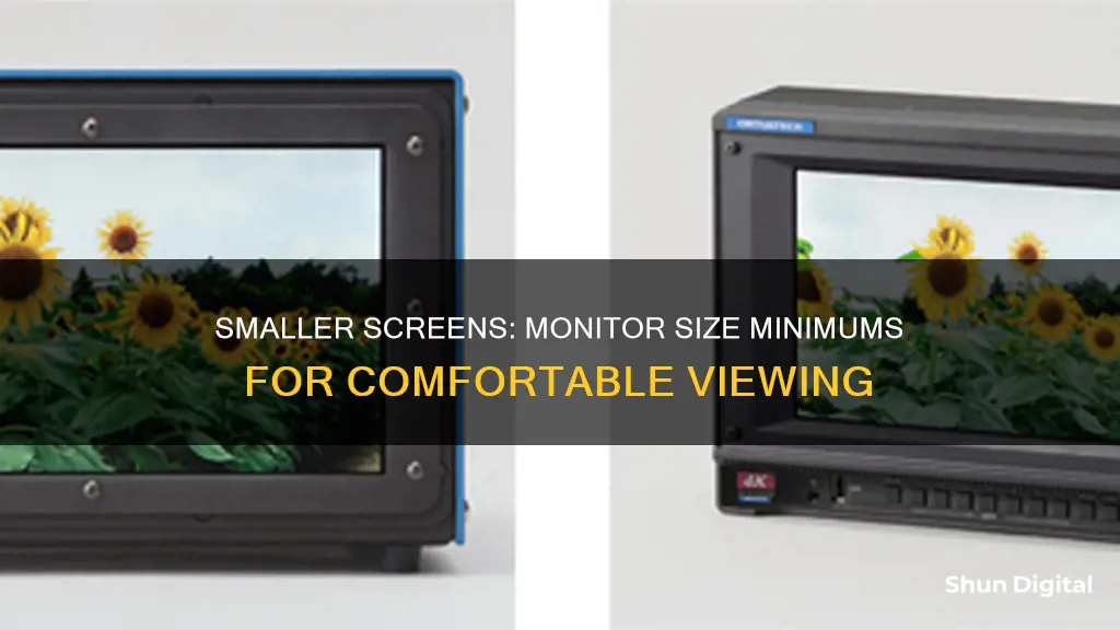 what is the smallest monitor size