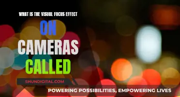 How Bokeh Effect Transforms Your Photography