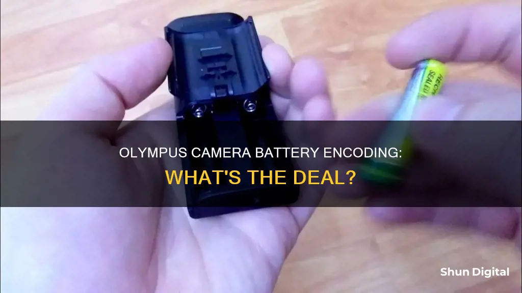 what is this bullshit about olympus camera battery encoding