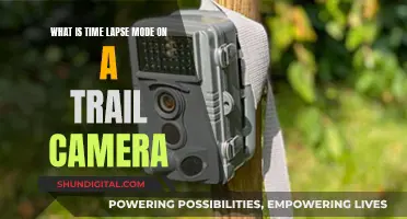 Understanding Time-Lapse Mode on Trail Cameras