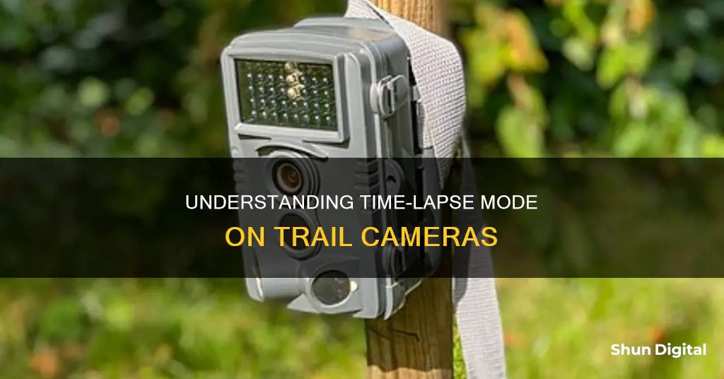 what is time lapse mode on a trail camera