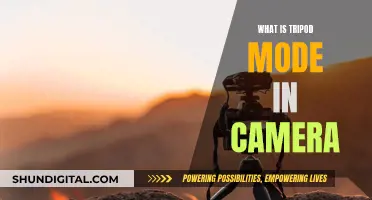 Tripod Mode: A Stable Camera Technique for Photographers