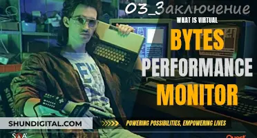 Understanding Virtual Bytes with Performance Monitor