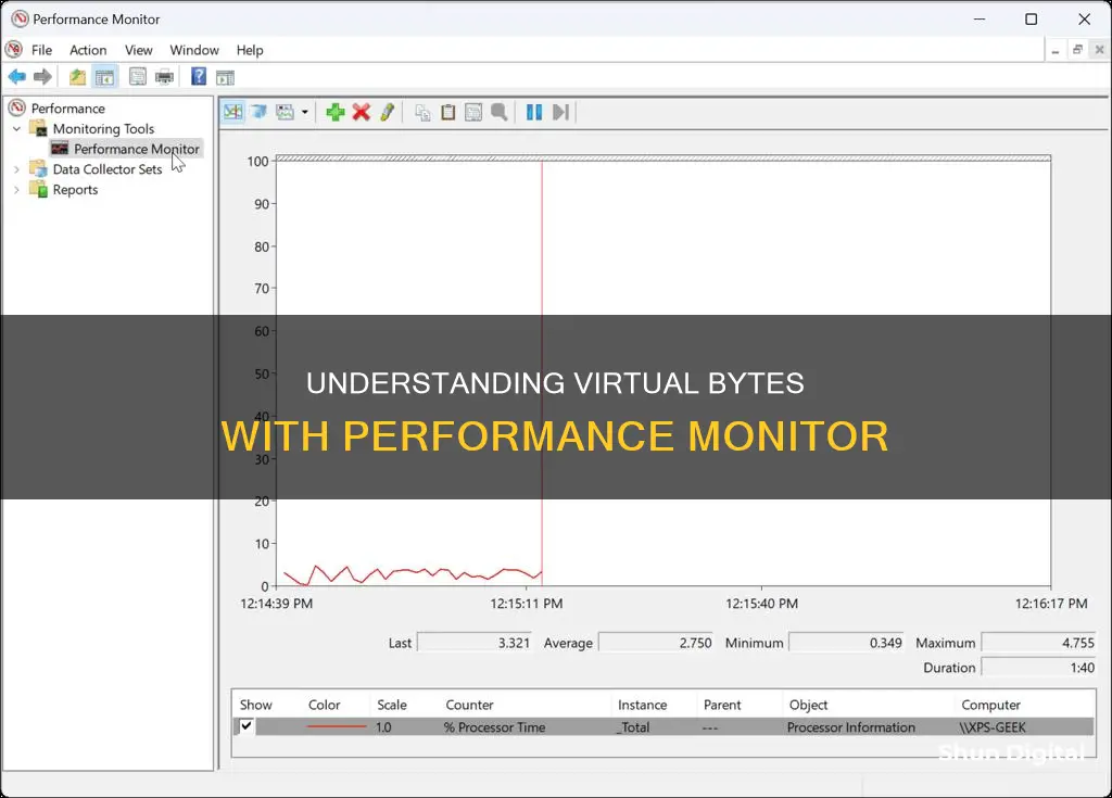 what is virtual bytes performance monitor