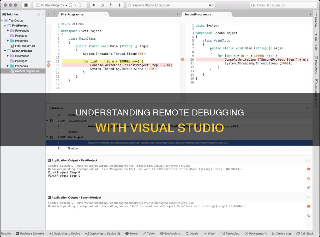 what is visual studio remote debugging monitor