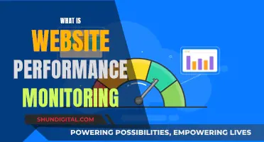 Understanding Website Performance Monitoring: Strategies for Success