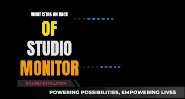 Understanding the Knobs and Ports on Studio Monitors