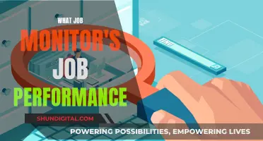 Job Performance: Monitor and Evaluate for Success