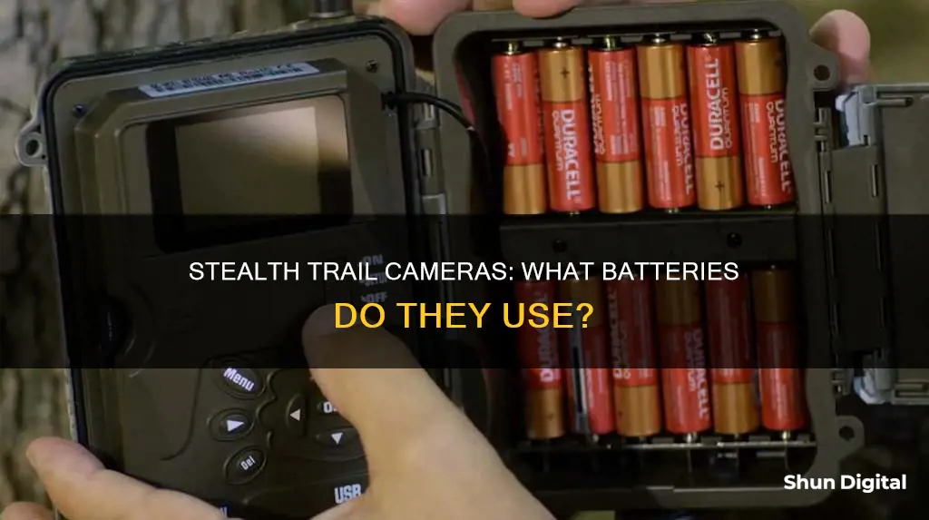 what kind of batteries are in a stealth trail cameras