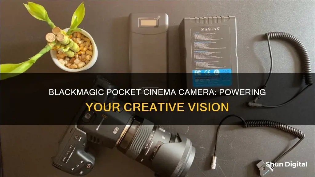 what kind of batteries for blackmagic pocket cinema camera