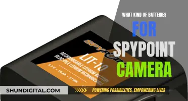 Best Batteries for SpyPoint Camera: Ultimate Guide