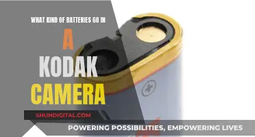 Choosing the Right Batteries for Your Kodak Camera