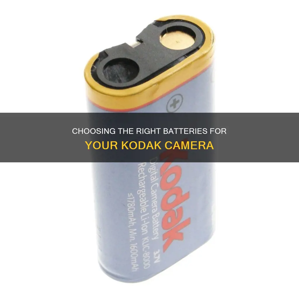 what kind of batteries go in a kodak camera