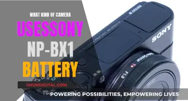 Best Cameras Compatible with the Sony NP-BX1 Battery