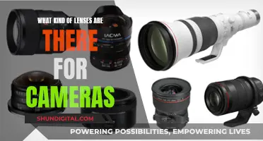 The Ultimate Guide to Camera Lenses and Their Varied Types