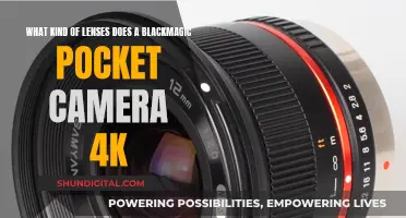 Blackmagic Pocket Camera 4K: Lens Options Explored