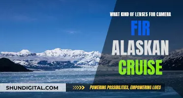 Choosing the Right Camera Lenses for an Alaskan Cruise