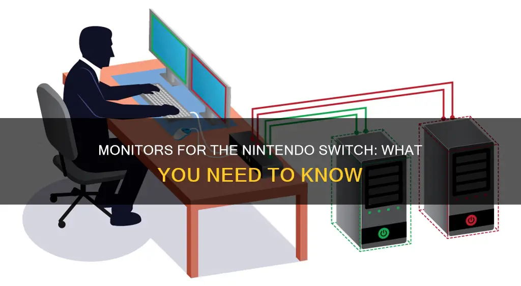 what kind of monitor does the switch require