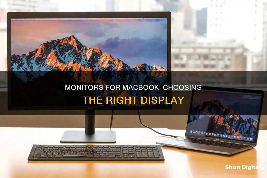 what kind of monitor to buy for my macbook